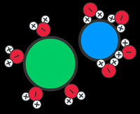 salt molecule